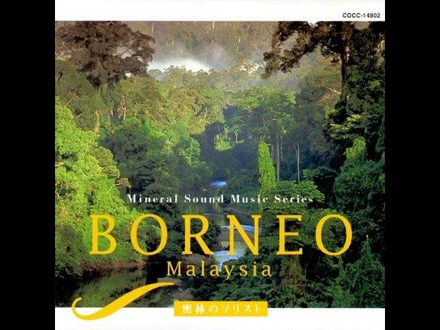 Takashi Kokubo - Borneo : Malaysia ～密林のソリスト～, 1998 (Album)