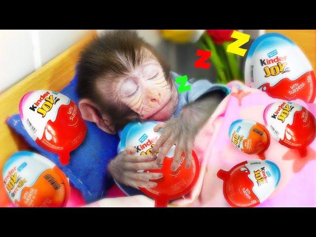 Monkey baby Bi Bon takes care of the sick MiMi cat and eats Kinder Joy candy | Funny Cat Video