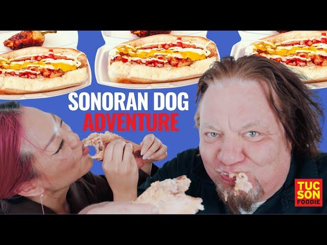 TUCSON SONORAN DOG ADVENTURE