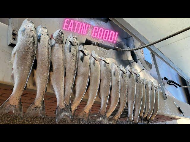 Coho Fishing Shallow! -  Racine WI - Limits!