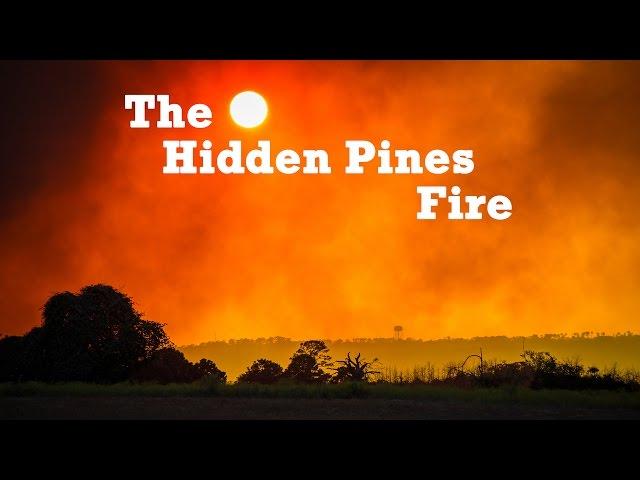 Help Raise Funds for the Hidden Pines Fire