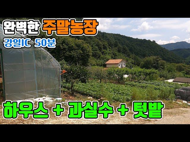 [꿈의주말농장 278] 비닐하우스 + 과실수 + 텃밭 + 농막 완벽 그 자체 주말농장 매매 대지 220평