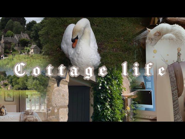 Travel with me to UK   (Part 1) | Bibury, Cotswolds village  