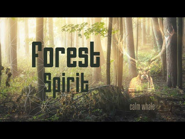 Forest Spirit - Tribal Sounds - Grounding Shamanic Drumming & Didgeridoo - Spirit Animals - Deer