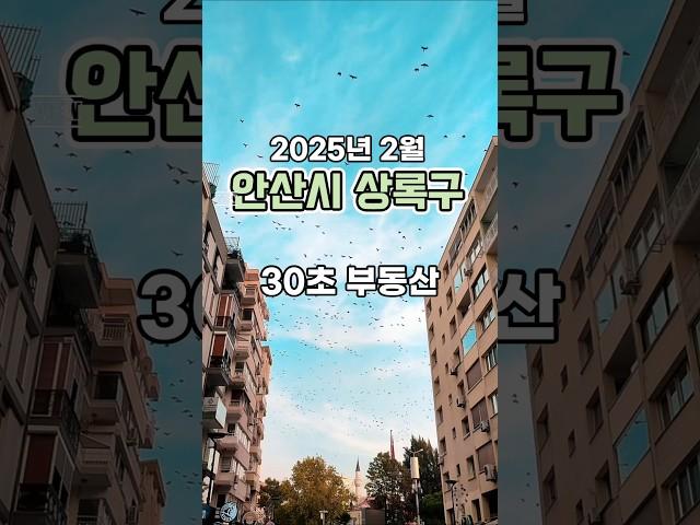 30초 부동산 : 안산시 상록구 편 (2025년 2월)