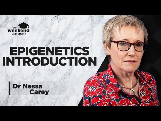 Epigenetics: An Introduction – Dr Nessa Carey