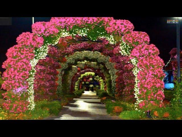 Dubai Miracle Garden 2019