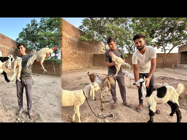 Aj Samad Ka Zoo Visit Kiya  Bht Maza Aya