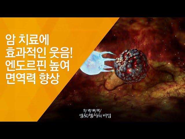 암 치료에 효과적인 웃음! 엔도르핀 높여 면역력 향상 - (20150624_549회 방송)_내 몸을 행복하게 하는 힘, 웃음