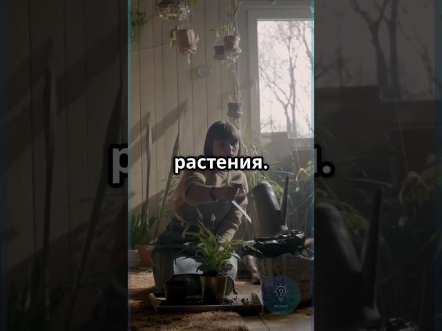 Загадка века: кто убийца? #загадка #детектив #IQCheck #головоломка #проверьсебя #shorts #shortvideo