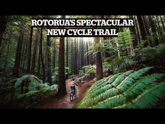 Whakarewarewa Forest Loop: Rotorua's spectacular new cycle trail | TRAVEL | STUFF TRAVEL