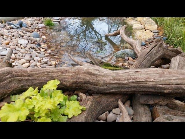 Making a small wildlife pond.