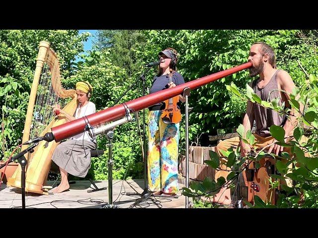 Satisfying Musical Improvisation in Our Garden (Interrupted by Neighbour)