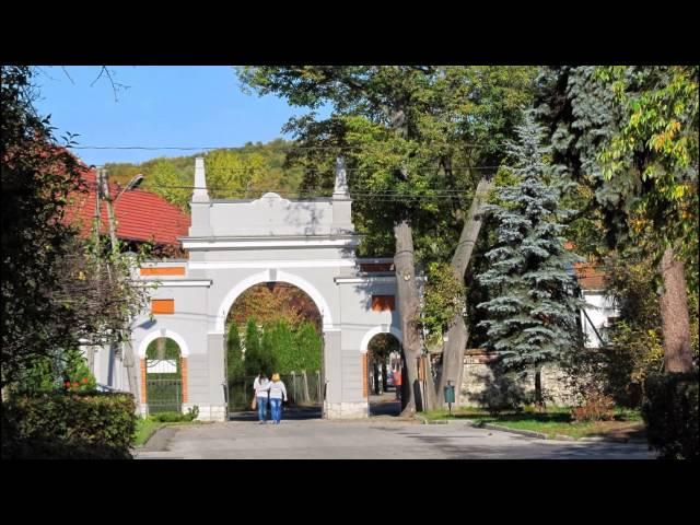 Czernichów k. Krakowa i okolica. - [HD]