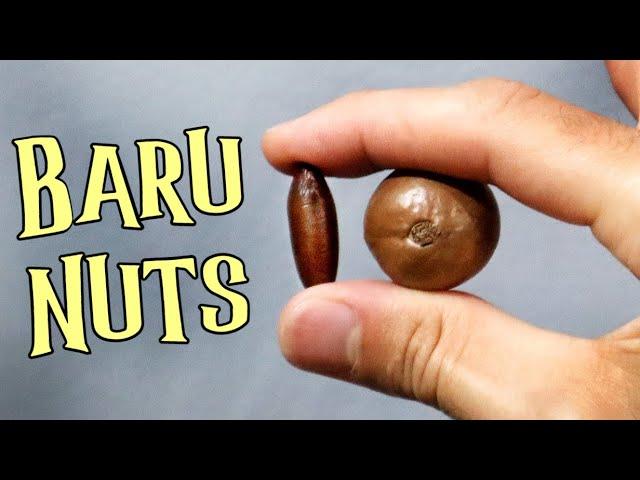 BARU & RAW MACADAMIA - Nut Review! (Baruka nut) - Weird Fruit Explorer