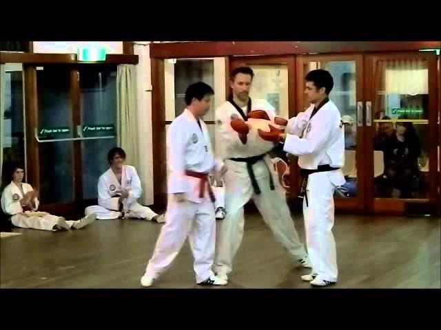 Open Class Terrance Chan Knife Hand Board Break