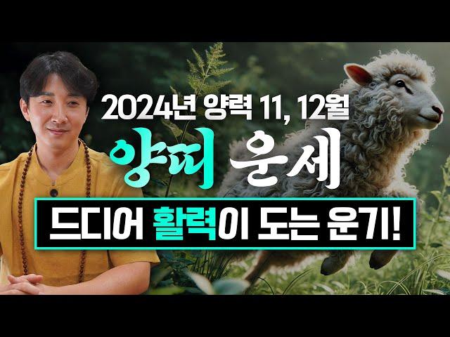 2024년 갑진년 양력 11, 12월 양띠 운세 / 두 번 다시 없을 최고의 귀인이 옵니다! / 91년생, 79년생, 67년생, 55년생