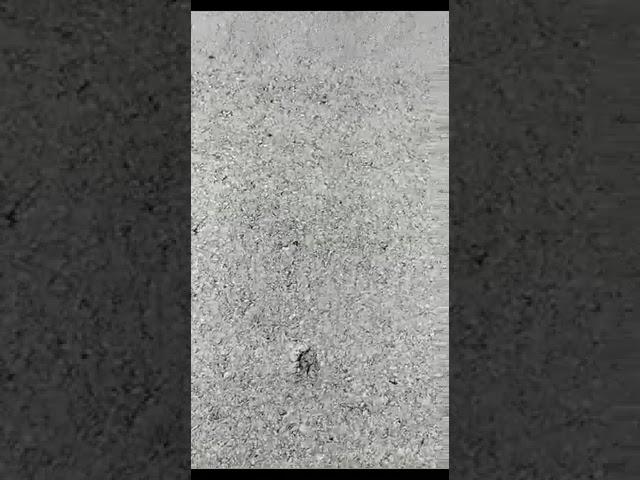 На взлетно-посадочной полосе в аэропорту Нарына начала расти трава, - депутат
