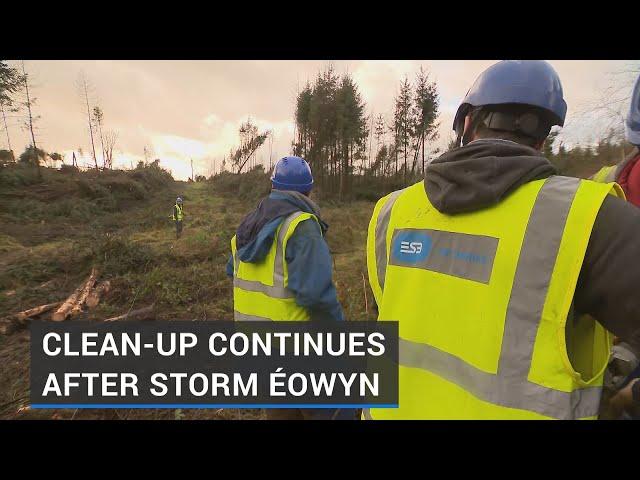 Clean-up continues in aftermath of Storm Éowyn