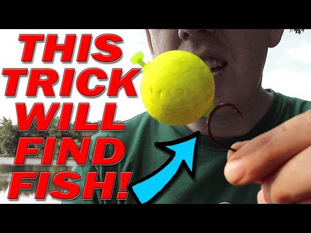 BANK FISHING Trick to finding fish!!!  Catch more fish from shore: catfish, bass, carp