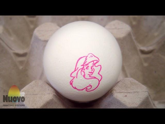 Nuovo Egg Stamper - Easy Print R6 Moba Omnia 500