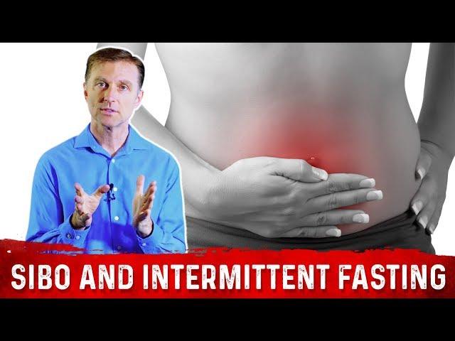 How To Get Rid of SIBO (Small Intestinal Bacteria Overgrowth) With Intermittent Fasting – Dr.Berg