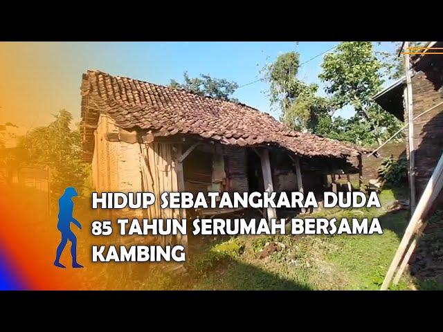 NGANJUK - Hidup Sebatangkara Duda 85 Tahun Serumah Bersama Kambing