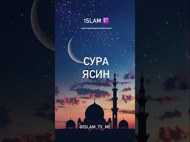 Сура «ЯСИН» исполнит все ваши желания #quran #islam #muslim #yasin #surah #allah