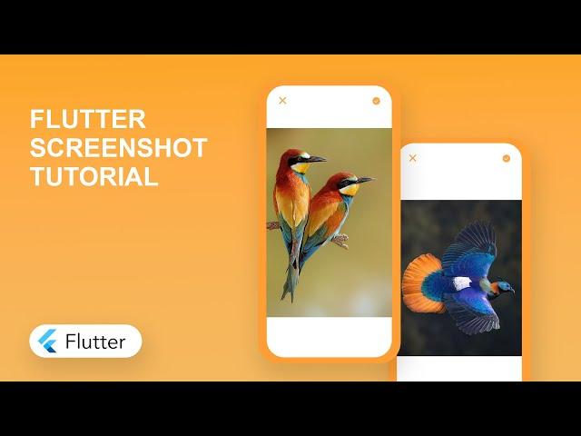 Flutter Screenshot Tutorial | Capture and Save Screens in Flutter