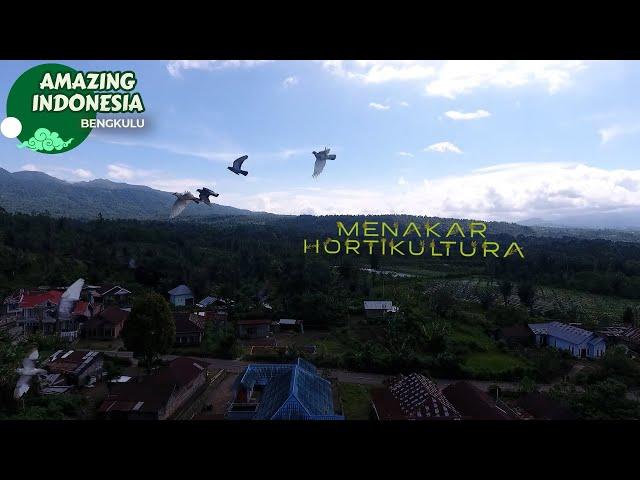 Menakar Hortikultura  | Amazing Indonesia Bengkulu