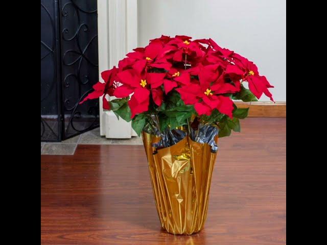 NEW CHRISTMAS DECORATIVE PLANTS AT WAYFAIR!!! #home #homedesign #homeinteriordesigners #christmas