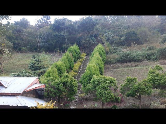 Agape Garden||Near Sadu Chiru waterfall Leimaram Manipur