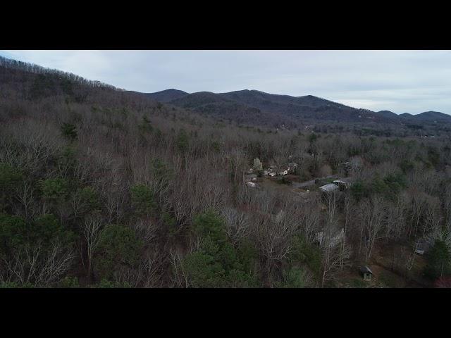 Stock Drone Footage - Slow flight through trees revealing mountain in small town