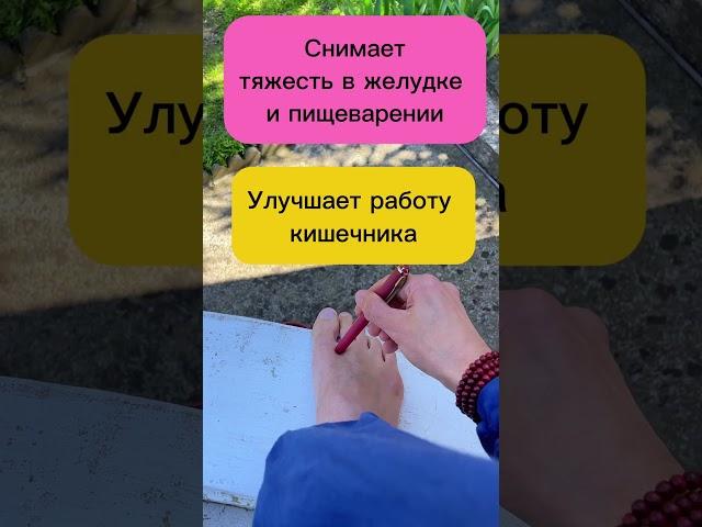 ЗОЖникиЗдоровая печень залог здоровья