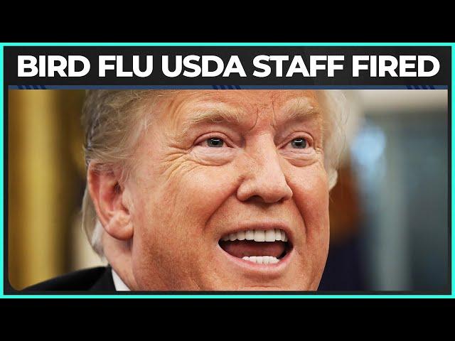 Trump Admin Panics After "Accidentally" Firing Scientists Working on Bird Flu