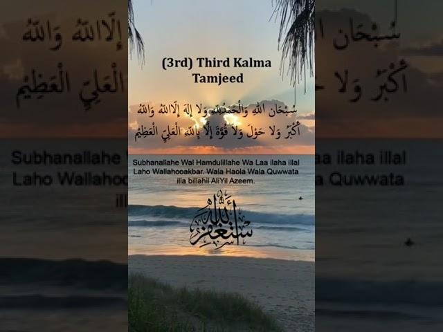 3rd kalma|kalima Tamjeed|words of praise |plant tree in paradise |Islamic short |youtube short