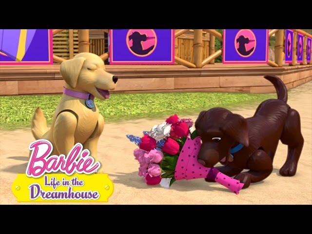 Festa dos Cachorros  | Barbie Life In The Dreamhouse | Desenho da Barbie Em Português