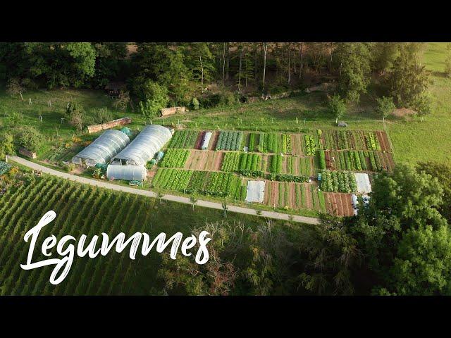 BEAUTIFUL Farm on a STEEP SLOPE in Switzerland // Legummes