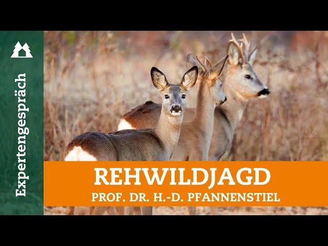 Rehwild: vom Hirsch des kleinen Mannes zum Waldschädling | Weidgerecht | Jagddruck | Wildschaden