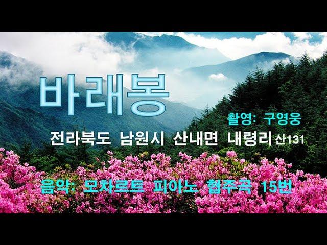 한국의 산 - 바래봉  - 구영웅 사진 -  음악: 모차르트 피아노 협주곡 15번 -  the spring of Korea