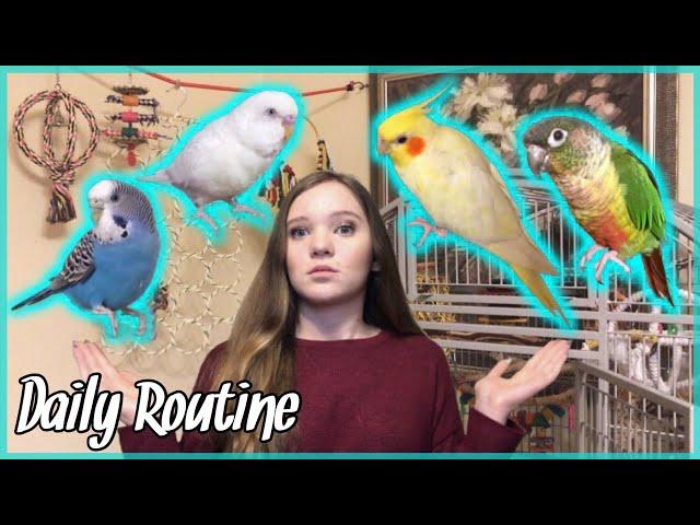 DAILY ROUTINE With All My Crazy Birds!! *what it’s like to own parrots*