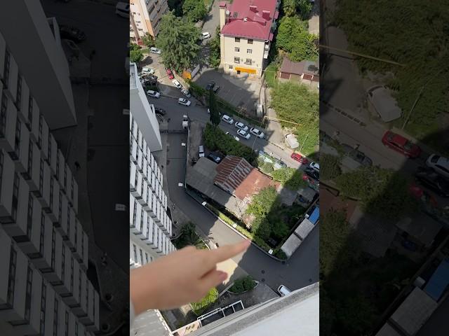 Вокруг одни жмоты…  #сочи #дедзахар
