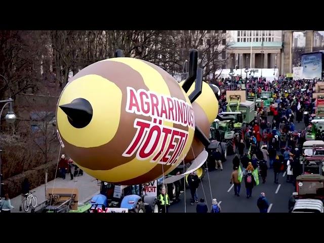 Neuer Imkerbund e.V. - für den Systemwandel in Imkerei und Landwirtschaft