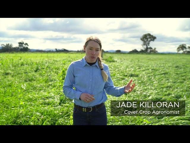 Multi Species Pasture Demonstration Project