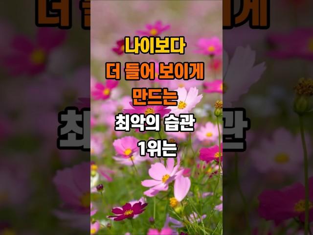 나이보다 더 들어보이는 최악의 습관 1위는 #지혜 #명언 #좋은글 #인생조언