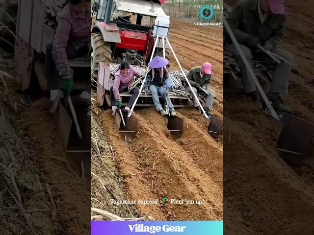 This Sugarcane Planting Contraption is SWEET!  Planting Level MAX! #sugarcane #farminglife