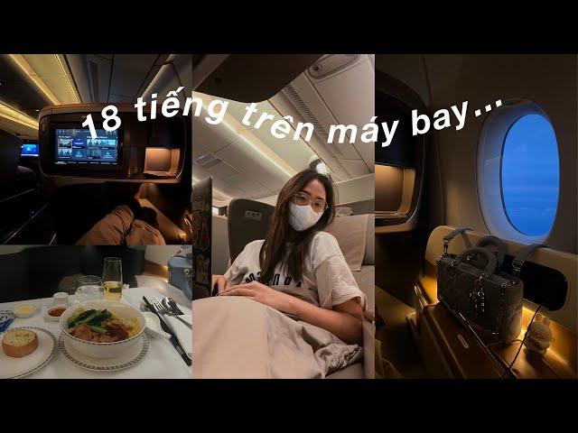 (vlog) 18 tiếng cùng mình bay từ việt nam qua mỹ 