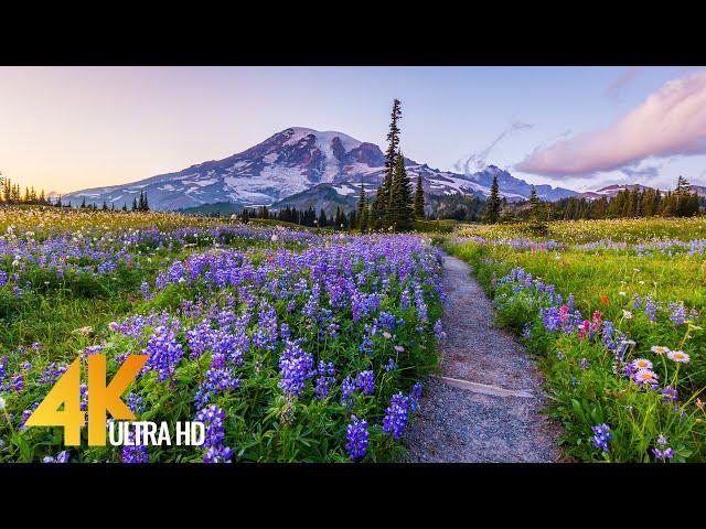 Pacific Northwest 4K - Beautiful Nature of Washington State - Leavenworth and Mt. Rainier - Part #3