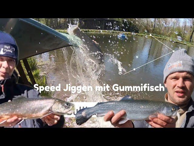 Speed Jiggen  mit Gummifisch Bullbait auf Saibling & Forelle #angeln #fishing #trout #forelle #forel