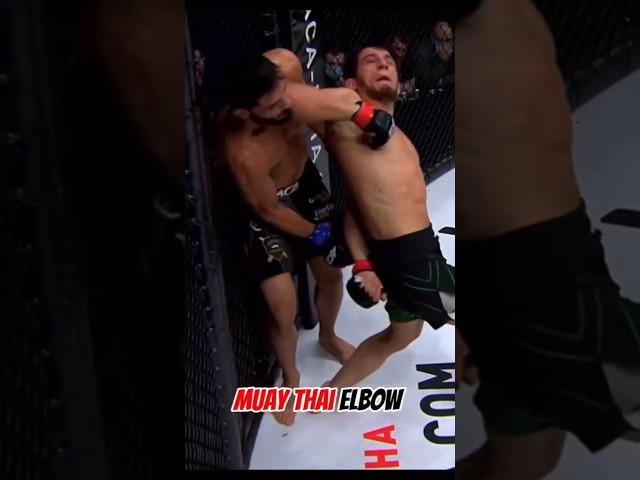Muay Thai elbow ||muay Thai #mma #drills#naturalindiafit #martialarts